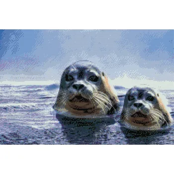 Diamantové malování Diamantové malování - Tuleni na lovu Velikost: 40x60cm, Rámování: Pouze srolované plátno, Diamanty: Čtvercové