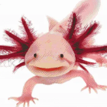 Diamantové malování Diamantové malování - Axolotl 3 Velikost: 50x50cm, Rámování: Pouze srolované plátno, Diamanty: Kulaté