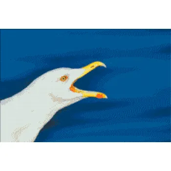 Diamantové malování Diamantové malování - Racek Velikost: 40x60cm, Rámování: Pouze srolované plátno, Diamanty: Kulaté