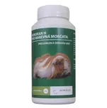 Roboran H pro barevná morčata 60 g
