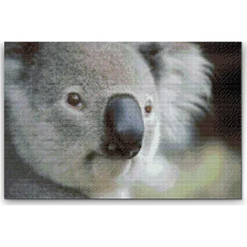 Diamantové malování Diamantové malování - Medvídek koala Velikost: 40x60cm, Rámování: Pouze srolované plátno, Diamanty: Čtvercové