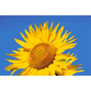 Diamantové malování Diamantové malování - Modrá obloha a slunečnice Velikost: 40x60cm, Rámování: Pouze srolované plátno, Diamanty: Kulaté