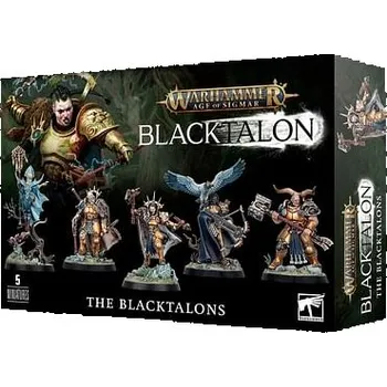 Desková hra Games Workshop Warhammer Age of Sigmar: Stormcast Eternals - The Blacktalons