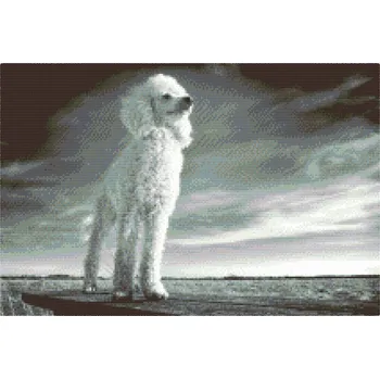 Diamantové malování Diamantové malování - Pudl Velikost: 40x60cm, Rámování: Pouze srolované plátno, Diamanty: Kulaté