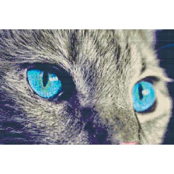 Diamantové malování Diamantové malování - Pronikavý pohled Velikost: 40x60cm, Rámování: Pouze srolované plátno, Diamanty: Kulaté