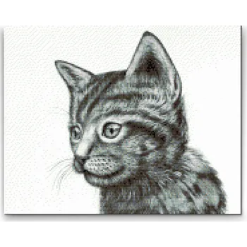 Diamantové malování Diamantové malování - Roztomilé černobílé koťátko Velikost: 30x40cm, Rámování: Pouze srolované plátno, Diamanty: Kulaté