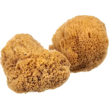 Eat Green EatGreen Mořská tráva - střední, 2 ks