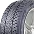 Zimní osobní pneu Triangle TW401 225/50 R17 98 V XL