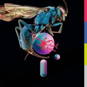 Zahraniční hudba CD Teeth Of The Sea: Hive 2023