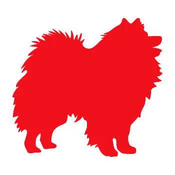 Polep vozidla SAMOLEPKA Pes 192 pravá německý špic (10 - červená) NA AUTO, NÁLEPKA, FÓLIE, POLEP, TUNING, VLASTNÍ TEXT, TISK, AUTOSAMOLEPKY.cz, POLEPY, OBRÁZEK, LOGO, SAMOLEPKY