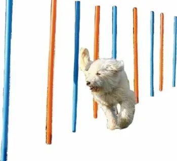 Trixie Agility slalom tyče 12 ks 3 x 115 cm modré/oranžové