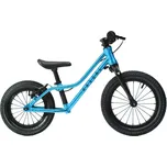 Rascal Punk, Aquamarin