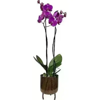 umělá květina Orchidej fialová v květináči