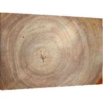 Allboards,Skleněná magnetická tabule- dekorativní obraz DŘEVO 90x60 cm,TS96_40008