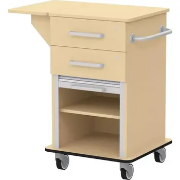 VIZITA 01 R mobilní vozík vizitový, korpus javor horský, čílka javor horský