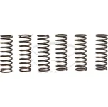 Sada spojkových pružin KAWASAKI KLV 1000 rok 04-06