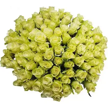 Přípravek na opalování 100 Růží Yellow Sun