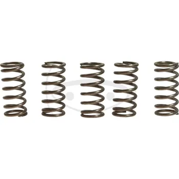 Sada spojkových pružin MR3 HONDA CRF 250 X rok 04-17
