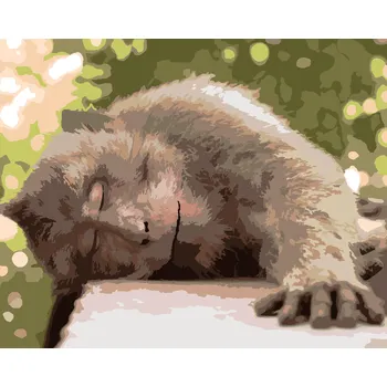 ZUTY Malování podle čísel - ODPOČÍVAJÍCÍ OPICE Rozměr: 40x50 cm, Rámování: bez rámu a bez vypnutí plátna