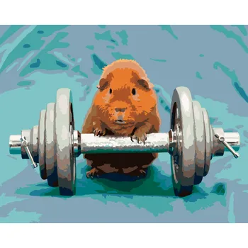 ZUTY Malování podle čísel - MORČE VE FITKU Rozměr: 40x50 cm, Rámování: bez rámu a bez vypnutí plátna