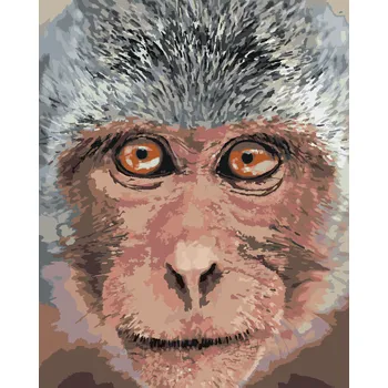 ZUTY Malování podle čísel - OPICE Z BLÍZKA Rozměr: 40x50 cm, Rámování: bez rámu a bez vypnutí plátna