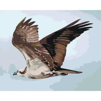 ZUTY Malování podle čísel - OREL V LETU (D. RUSTY RUST) Rozměr: 40x50 cm, Rámování: bez rámu a bez vypnutí plátna