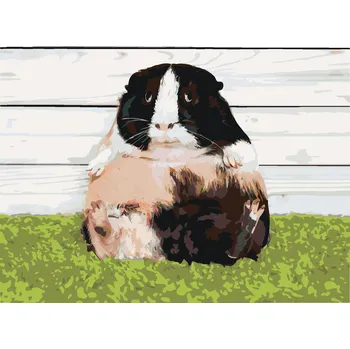 ZUTY Malování podle čísel - LÍNÉ MORČE Rozměr: 40x50 cm, Rámování: bez rámu a bez vypnutí plátna