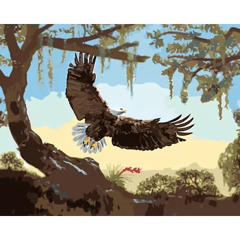 Hračka ZUTY Malování podle čísel - OREL PŘI VZLETU (D. RUSTY RUST) Rozměr: 40x50 cm, Rámování: bez rámu a bez vypnutí plátna
