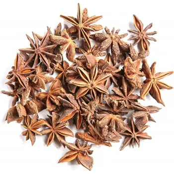 Badyán - Souplodí badyáníku pravého 10g