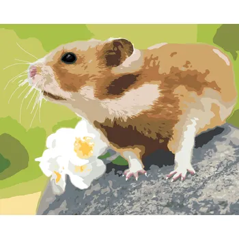 ZUTY Malování podle čísel - KŘEČEK NA KAMENI Rozměr: 40x50 cm, Rámování: bez rámu a bez vypnutí plátna