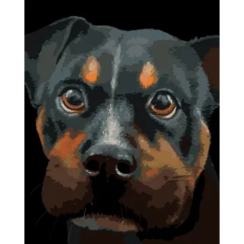 ZUTY Malování podle čísel - ROTVAJLER (MYROSLAVA VOLOSCHUK) Rozměr: 40x50 cm, Rámování: bez rámu a bez vypnutí plátna