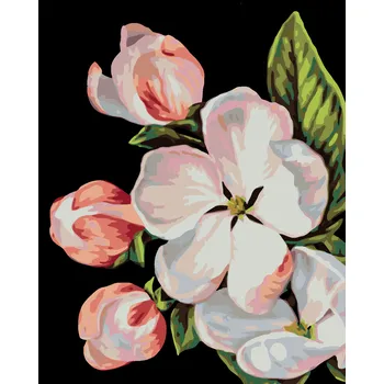 ZUTY Malování podle čísel - KVĚT JABLONĚ (MYROSLAVA VOLOSCHUK) Rozměr: 40x50 cm, Rámování: vypnuté plátno na rám