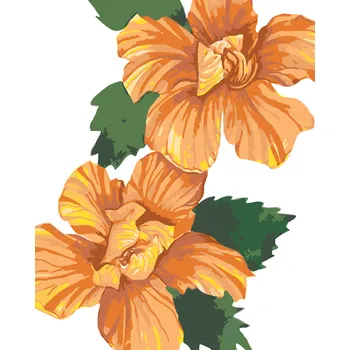 ZUTY Malování podle čísel - ORANŽOVÉ KVĚTY IBIŠEK (ALEXANDRIA GILBERT) Rozměr: 40x50 cm, Rámování: bez rámu a bez vypnutí plátna