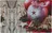 Goba Vánoční prostírání plastové 28 x 43 cm, jablko/skořice
