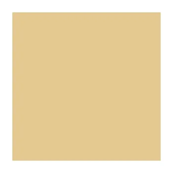 Polep vozidla Avery 543 Beige š. 61,5 cm - Matná