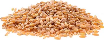 Krmivo pro hospodářské zvíře Krmná pšenice zrno 50 kg