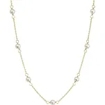 Evolution Group 92P00028