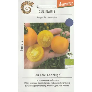 Semeno Rajče tyčkové Clou (koktejlové, oranžovožluté, BIO)