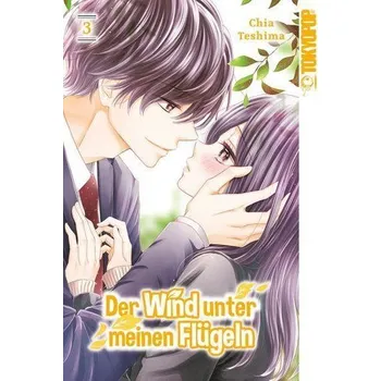 Komiks pro dospělé Der Wind unter meinen Flügeln 03 - Teshima, Chia