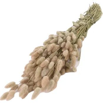 Sušený lagurus natural 500 g