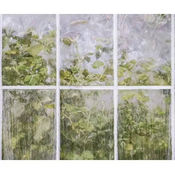 Fototapeta Fototapeta vliesová IF4-088 Secret Stash 400x250 cm