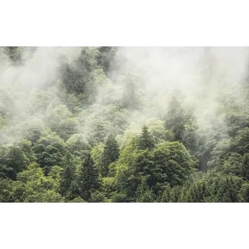 Fototapeta Fototapeta vliesová SH061-VD4 Forest Land 4-dílná 400x250 cm