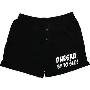 Pánské spodní prádlo Pánské trenýrky Dneska by to šlo! - velikost L