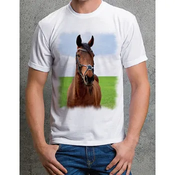 Chlapecké tričko tričko s koněm č. 22 XXL