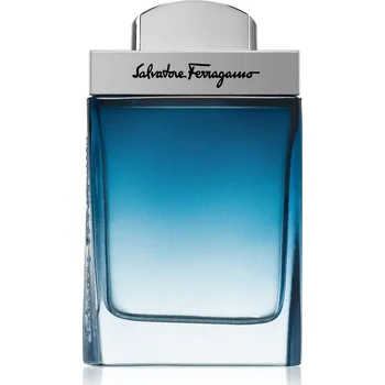 Pánský parfém Ferragamo Subtil Pour Homme toaletní voda pro muže 50 ml