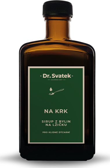 Dr. Svatek SIRUP Z BYLIN NA LŽIČKU NA KRK 250 ml