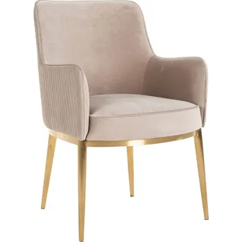 Jídelní židle Richmond Sametová jídelní židle Breeze