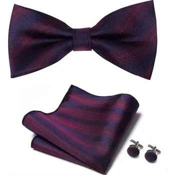 Motýlek Látkový motýlek Parker | Manžetové knoflíčky | Kapesníček Fialová