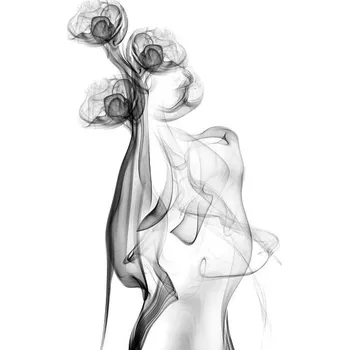 Plakát Plakát, Obraz - black smoke isolated on white background, DimitarOmi