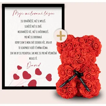 Dárková krabička Medvídek z růží + plakát s věnováním MILOVANÉ LÁSCE Barva: Červená, Dárkový box: Bez dárkového boxu